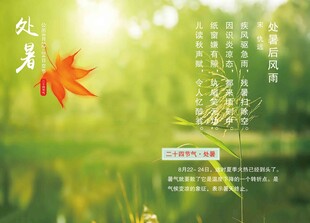 处暑节气