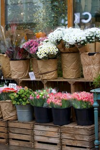 多彩花卉陈列于木架草篮