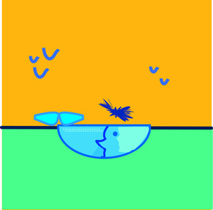 夏日泳池中的清凉一刻