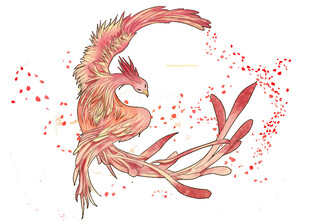 手绘凤凰灵动飘逸之姿
