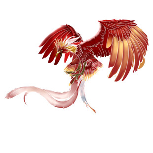 华丽红凤凰展翅飞舞