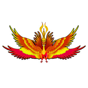 绚丽双生凤凰图案