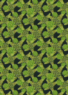 绿色植物几何图案纹理