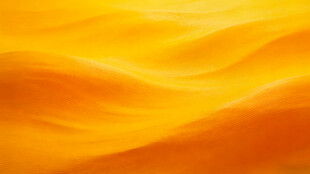金黄起伏的抽象纹理画面