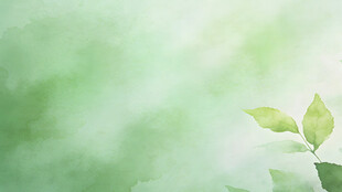 嫩绿叶片清新自然之景