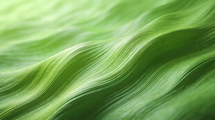 翠绿波纹状的清新叶片