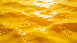 金黄波光粼粼水面