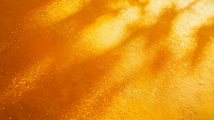 金色光影洒地的温暖画面