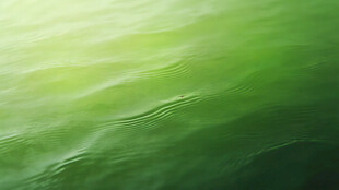 翠绿波纹背景纹理图