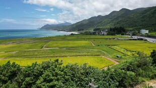 田园海景风光图