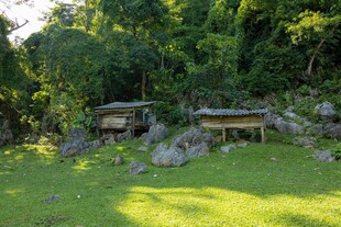 户外绿意中的休闲木台