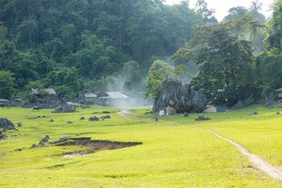 绿野幽径旁的山林景致