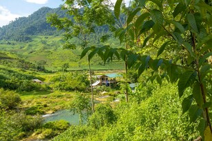 山间绿野中的静谧村落