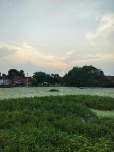 田野风光 绿意盎然的景致