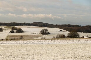 冬日雪覆田野景观