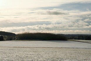 冬日雪覆田野风景图