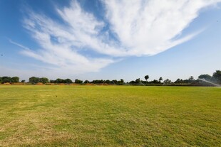 广阔绿野与蓝天白云