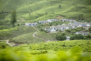山间村落 绿意盎然的景致