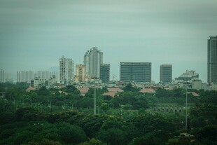 城市丛林中的高楼与绿树