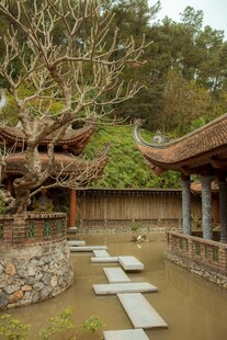 中式庭院中的古朴老树景观