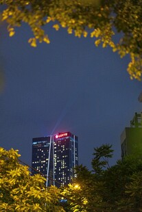 夜幕下的城市高楼景观