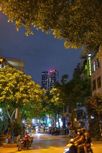 夜晚街头绿树掩映的景象