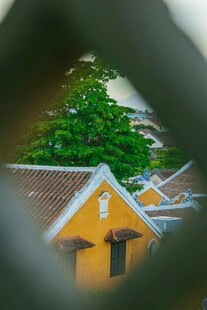 黄墙屋顶后的葱郁绿树