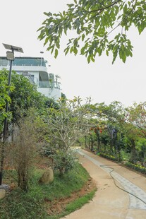 园林小径旁的绿植与建筑