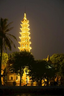 古塔夜景 璀璨灯火映树影