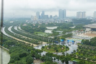 城市景观中的绿化带与建筑