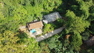 森林中的隐秘小屋