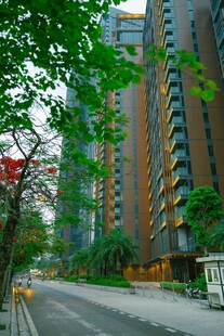 城市中绿树环绕的高楼建筑