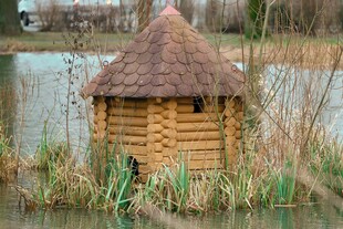 湖畔木质小屋 自然景致