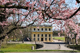 樱花环绕的欧式古典建筑