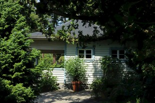 绿荫环绕的温馨小屋