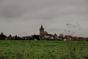 田野旁的古朴小镇风光