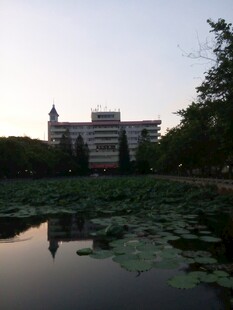 湖畔校园建筑与莲叶景观