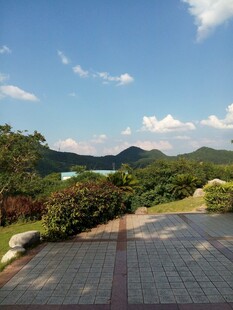 山间步道旁的秀丽自然风光