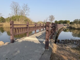 湖畔木桥风景