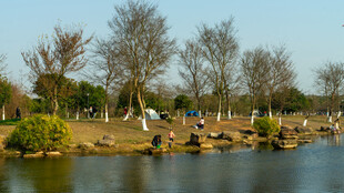 湖畔休闲场景 静享自然