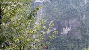 山林间的朦胧景致