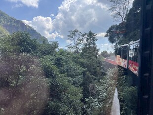 山间列车穿行于葱郁树林