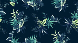 热带植物图案背景