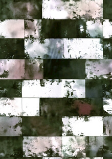 自然风景拼贴画面