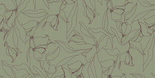 浅绿底带红线条纹理图案