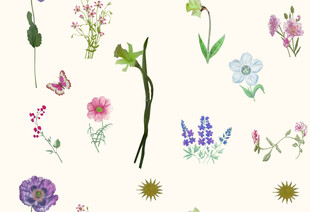手绘多彩花卉植物集合