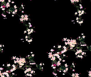 黑色背景上的花卉图案