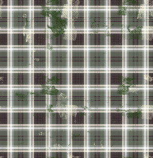 光伏板上的绿植景观