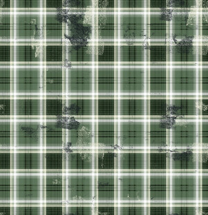 绿色格子背景上的昆虫