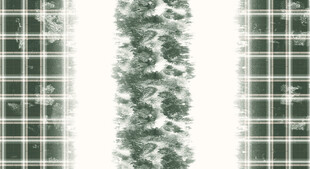 太阳能板间的绿植景观